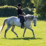 Maintaining Softness in the Saddle